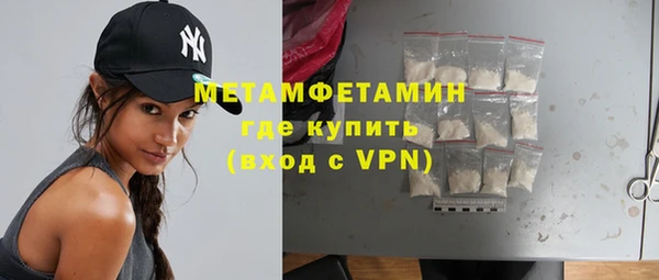 прущие грибы Приозерск