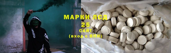 прущие грибы Абинск