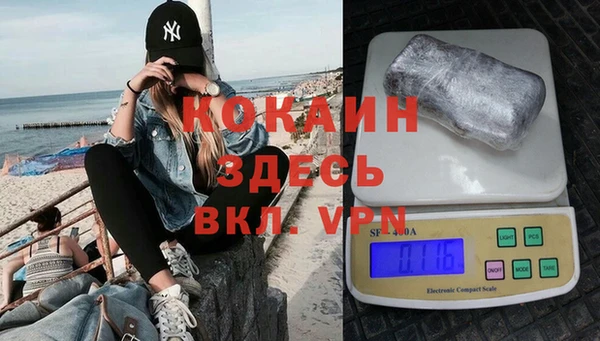 индика Алексин
