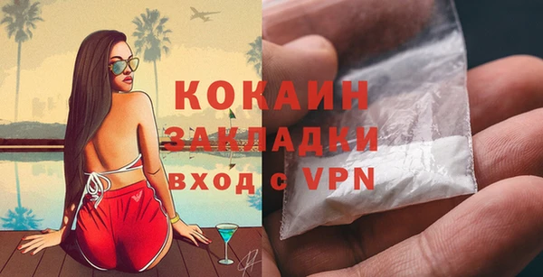 прущие грибы Абинск