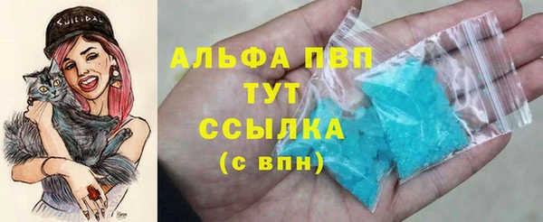 индика Алексин