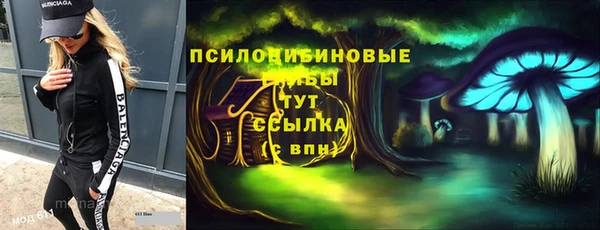 индика Алексин
